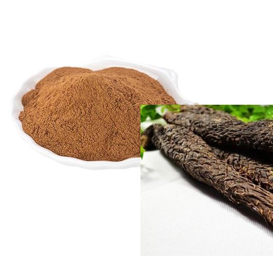 Cistanche Extract.jpg