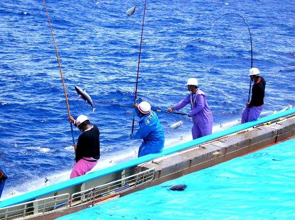 漁師の釣り糸 釣り竿 漁師の魚 トレーナー hqdefault.jpg