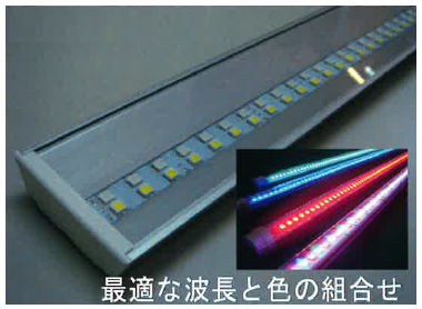 LED照明『MIO-36』