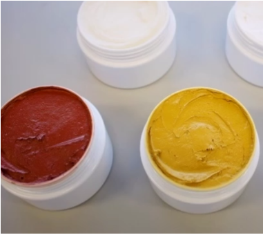 株式会社パラエルモサ　事業紹介