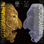 Photogrammetry