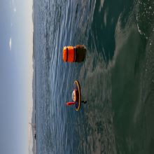 【デジクラゲ導入事例】証憑データとして活用