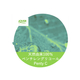 Penty C_page-0001.jpg