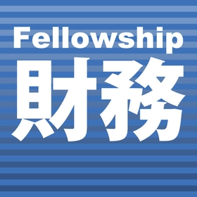 Multilingual financial accounting t...