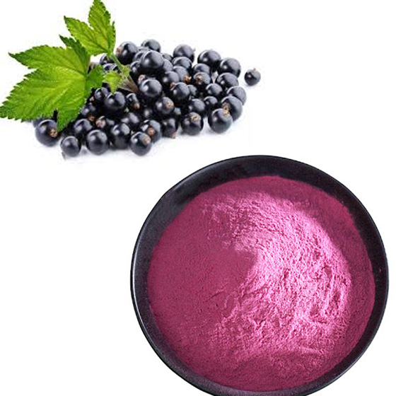 Black Currant Powder.jpg