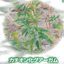 Cosmetic ingredient cationic guar gum "Laborgum CG-M"