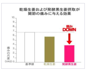 【発酵黒生姜】このような用途に好適