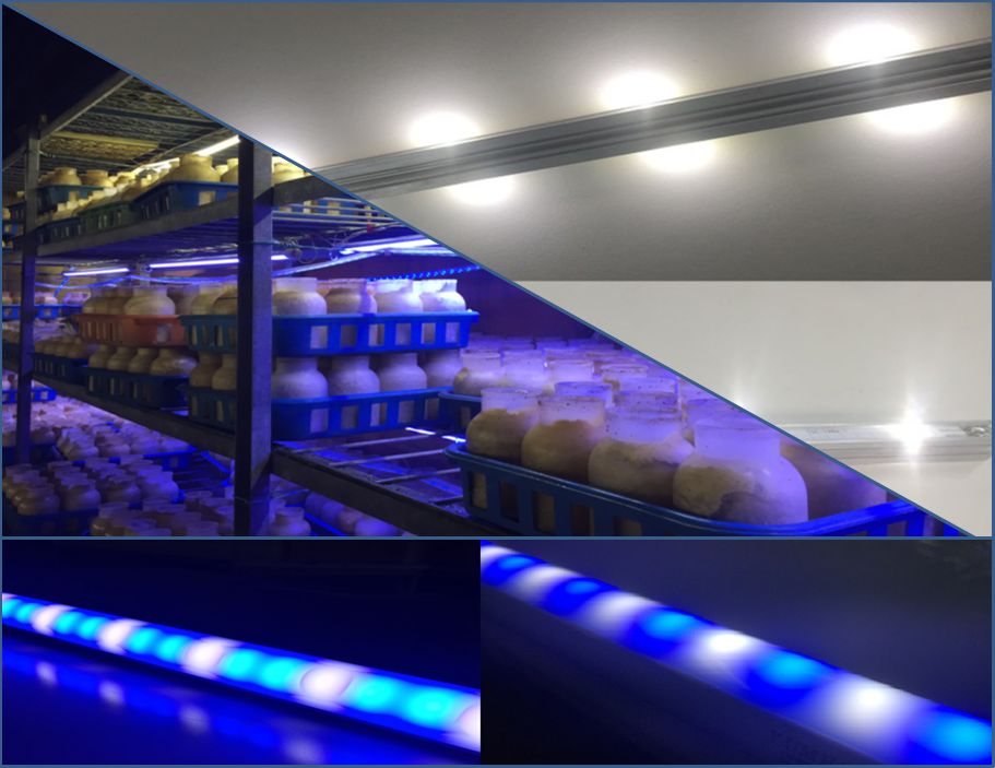 IP65準拠の防水・防塵！カスタム対応LED照明『ユメルクス』