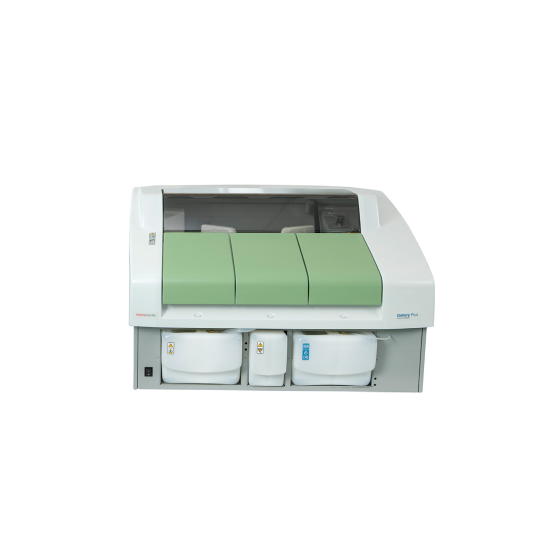 Gallery Plus (2).png