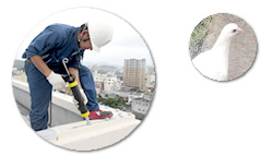 鳥よけジェル「B-ST」