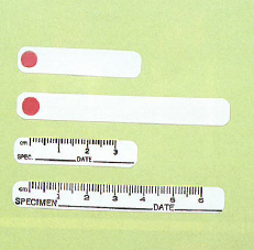 ラベル『フォトグラフィー ラベル』