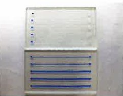 フッ素ガス表面処理による微細流路親水化技術