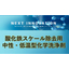 酸化鉄スケール除去用中性・低温型化学洗浄剤