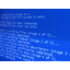 Business Description: System Development Business