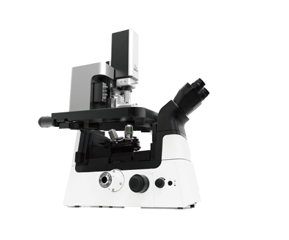 原子間力顕微鏡(AFM)『Park NX12-Bio』　