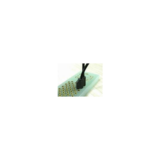 nif_02_cjpb.jpg