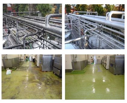  カビ汚れ除去洗剤『洗浄マジック 10シリーズ』