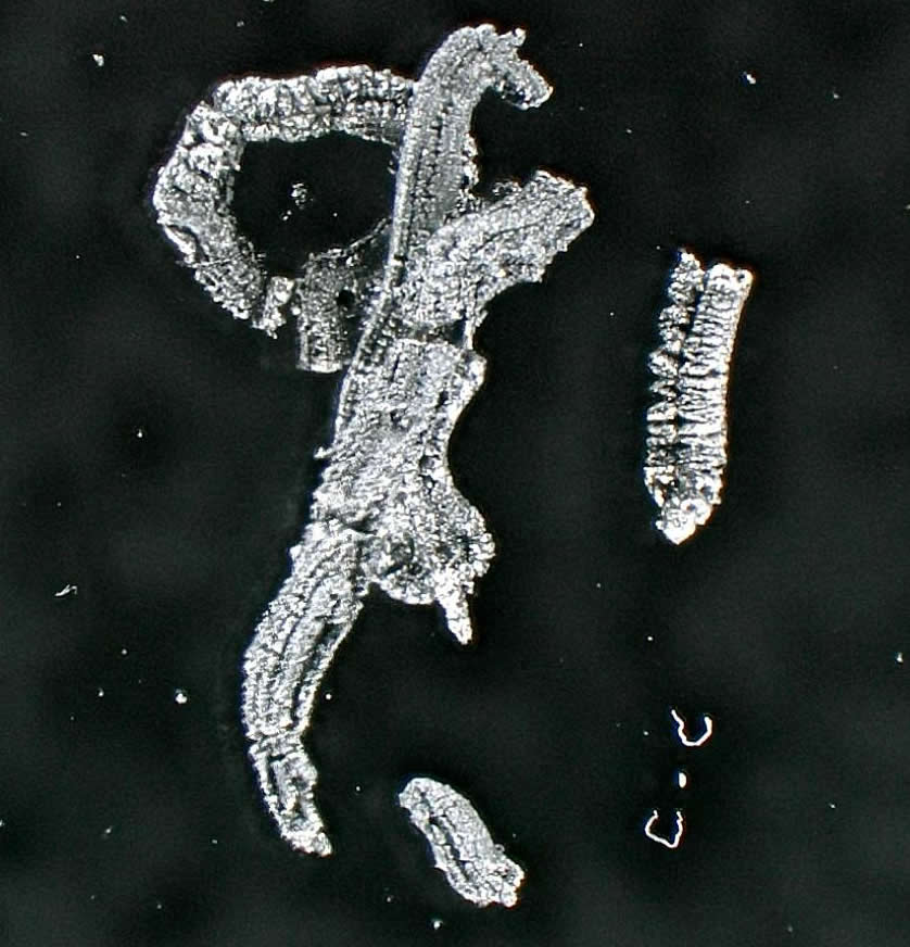 低温度熱膨張黒鉛