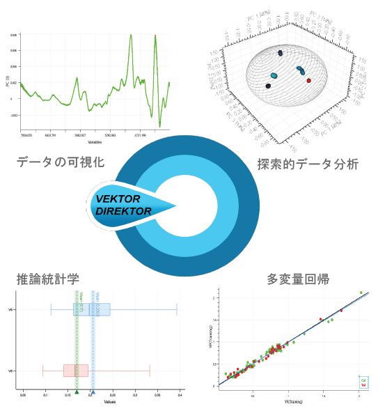 ソフトウェア『VEKTOR DIREKTOR』