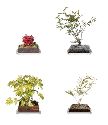 安行四季彩マット