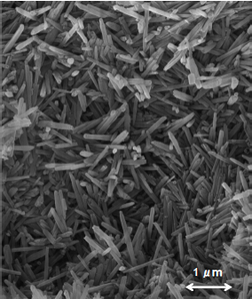 天然ナノチューブ鉱産物『Halloysite（ハロイサイト）』