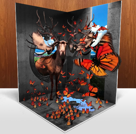 グラフィック広告『3Dトリックアートプリント』