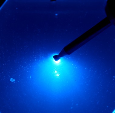 窒化物結晶成長