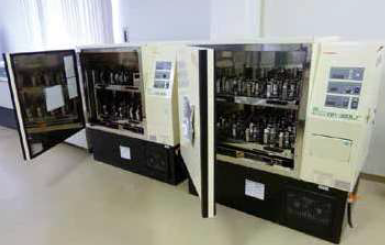 『大腸菌培養・精製』 遺伝子組み換え大腸菌（E.coli)