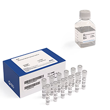 BD Difco TM 硝酸塩ブロス ベクトン・ディッキンソン 226810 (63-6531-05) 63-6528-75 BD Difco（TM） マッコンキーブロス 220100 AXEL アズワン