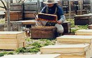 株式会社久保養蜂園　OEM製造　事業紹介