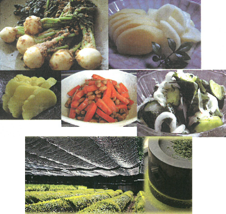 株式会社宏昌食糧研究所　OEM事業紹介