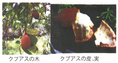 インドールとは