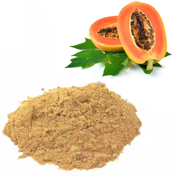 Papaya Extract.jpg