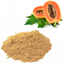 Papaya extract powder, a plant-based functional ingredient containing the natural enzyme papain.
