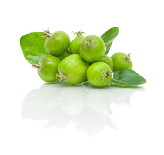 機能性食品素材『リンゴポリフェノール粉末』