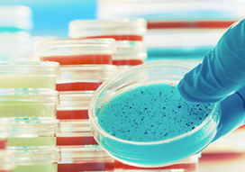 診断・試薬　受託サービス