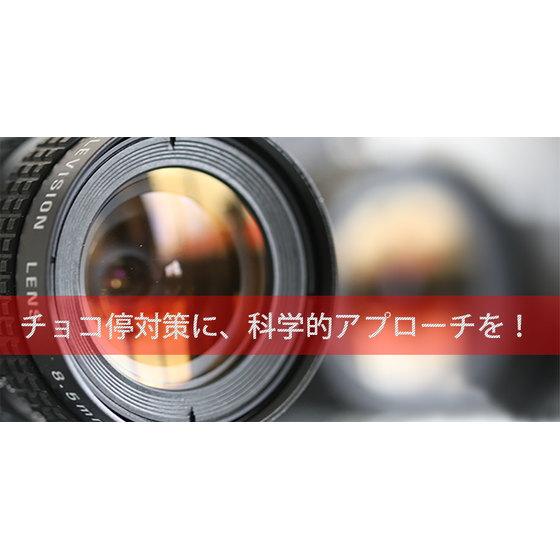 RekamoMA2_TopBanner.png