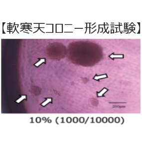 再生医療支援サービス