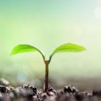 有機肥料製造用 遠心分離機