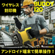 Buddy_ipros.png