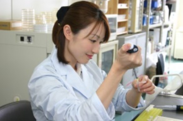 お米の品種鑑定