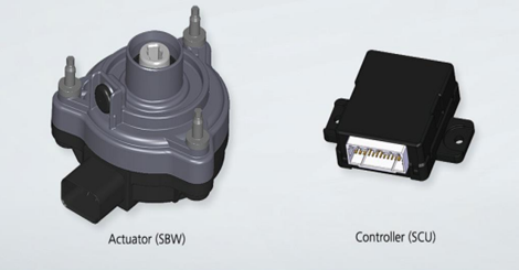 ⚠️ＤＤＴ ⚠️バードアーク　ソフビ 楽天市場】Bird Ark（バードアーク）/エキゾチックアフロ