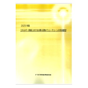 2025エネルギー供給における水素炭素バリューチェーンの将来展望