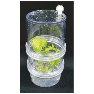 植物育成培養容器『プラントボックス』