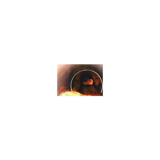 onsen.jpg
