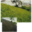 Greening industrial curing agent "Lunazole Powder V"