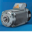 高電圧永久磁石同期ACモータ　電動駆動用　シャブミューラ製