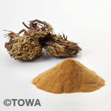 健康食品原料『PREMIEX エルカンプーレエキスパウダー』