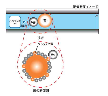BIOSURE SG(バイオシュアSG)