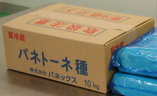 天然酵母『パネトーネ種』